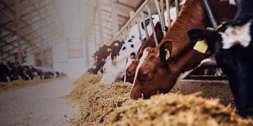 Sustainable Agriculture with Kilkenny Chamber
