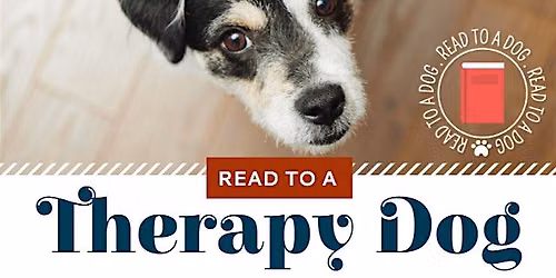Read to Tiny, the Therapy Dog in July!