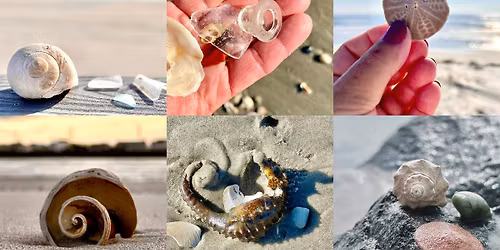 Tuesday Guided Beachcombing Walks