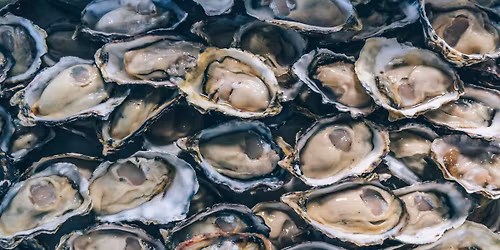 Shuck Yeah! Oyster Shucking and Cooking Class