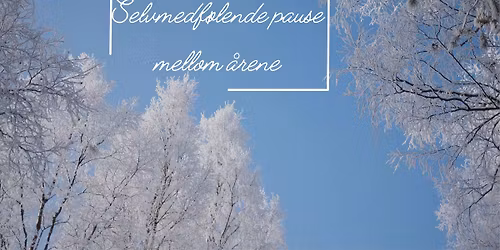 En selvmedf\u00f8lende pause - mellom \u00e5rene