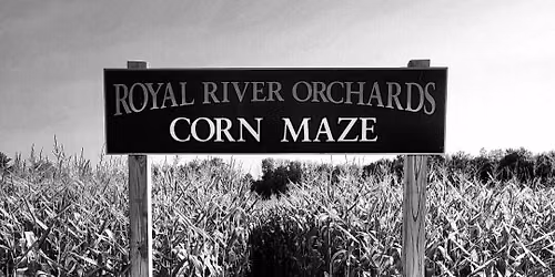 Night Maze 