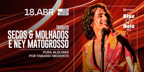 PURA ALQUIMIA - UMA HOMENAGEM AO SECOS & MOLHADOS E A NEY MATOGROSSO - FABIANO MEDEIROS