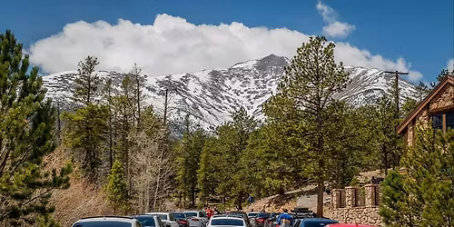 Sushi Cruise \ud83c\udf63 \ud83c\udfce\ufe0f\ud83d\udca8