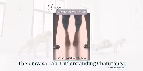 The Vinyasa Lab: Understanding Chaturanga & Your Options