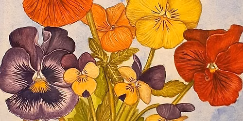 An Introduction to Flower and Plant Illustration