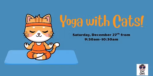 Yoga with Cats!