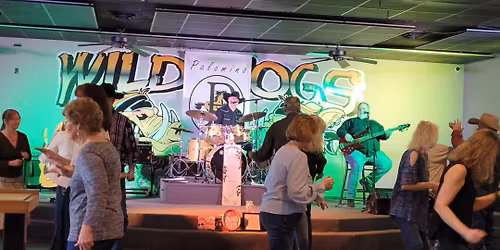 Palomino at Wild Hogs