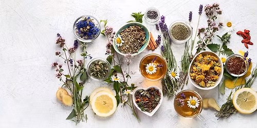 Herbal Medicine Making Fall Series: Formulating Medicinal Teas w\/Dr. Ashley