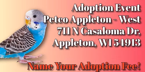 \ud83d\udc3e\ud83d\udc49 Name Your Price: Exotic Pet Adoption Pop-Up!\ud83d\udc22\ud83d\udc0d\ud83d\udc20