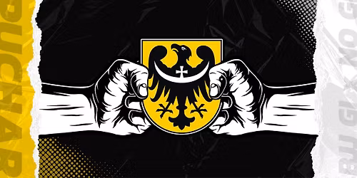 Puchar Dolnego \u015al\u0105ska w BJJ Gi & No Gi 