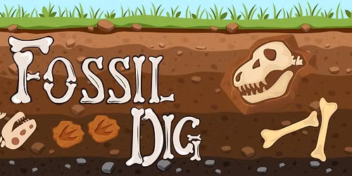 Fossil Dig