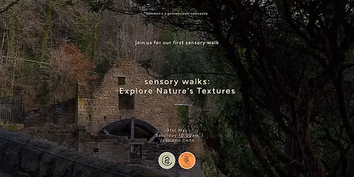 sensory walks: Explore Nature's Textures