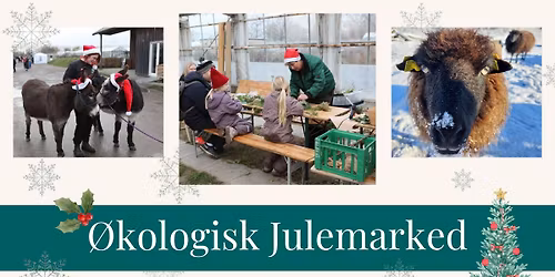 \u00d8kologisk Julemarked med dyr, b\u00e5lhygge og juletr\u00e6ssalg\ud83c\udf84