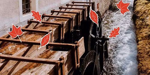 Visita al Mulino della Riviera di Dronero - Novembre 2025