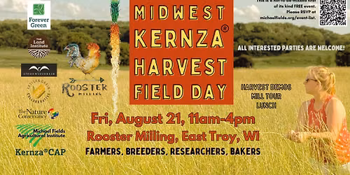Midwest Kernza Harvest Field Day at Rooster Milling