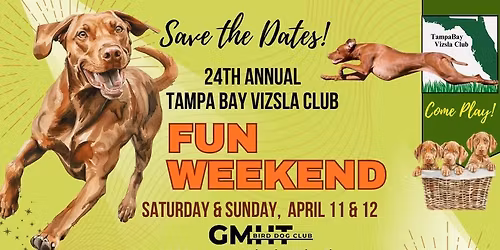 Tampa Bay Vizsla Club - Fun weekend!
