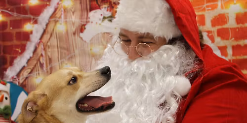 Pet Pictures with Santa Paws! 