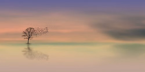 Meditative, Daylong Retreat with Tony Bernhard - Hybrid