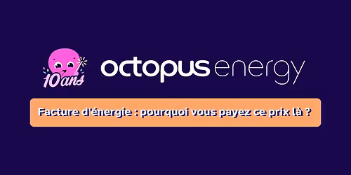 Facture d'\u00e9nergie : pourquoi vous payez ce prix l\u00e0 ?
