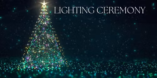 2025 Christmas Tree Lighting in Old Town Spring 