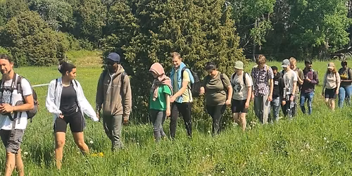 Vandring i Ulriksdal \/ Hike in Ulriksdal