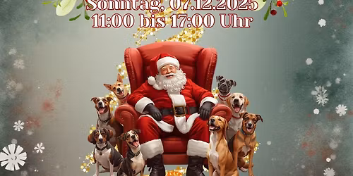 Weihnachtsmarkt f\u00fcr Tiere