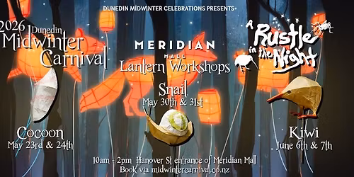 Dunedin Midwinter Carnival Meridian Mall Lanter Worksops