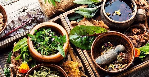 Uses of Locally Grown Medicinal Plants