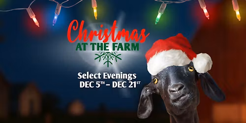 Christmas at the Farm 2025 at Sundrop Springs