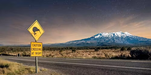 Auckland Wellington Auckland 2000 km Ultra