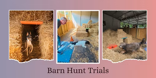 Barn Hunt Trials