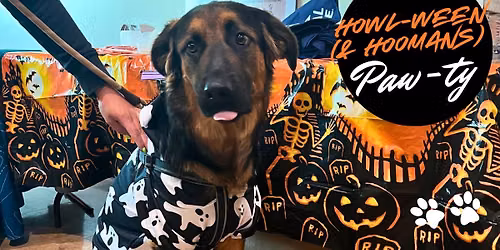 Howl-ween (& Hoomans) Paw-ty