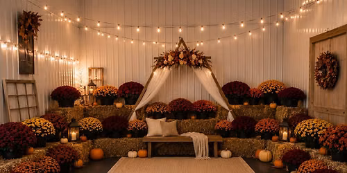 Fall Photo