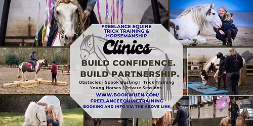 NLE Clinic Daventry. Obstacles, Young Horse, Trick Training and Private sessions