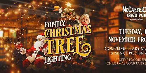 Christmas Lights Party 