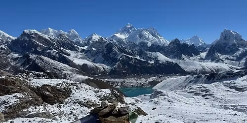 Hi-Fins - The Sixties Experience