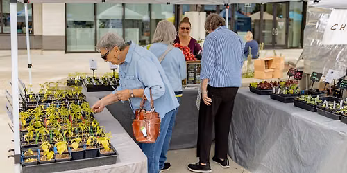Senior Day - Marysville Farmers Market