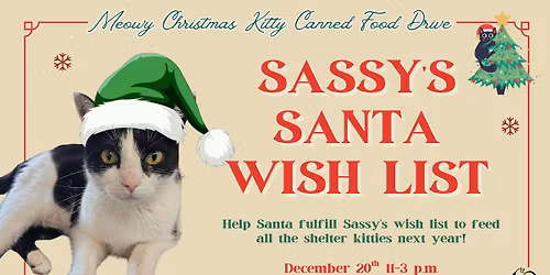 Sassy's Santa Wishlist \ud83d\udcc3\ud83d\udc08