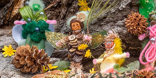 Saturday Nature Squad: Enchanted Forest