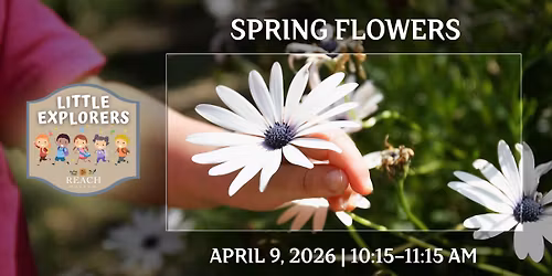 Little Explorers: Spring Flowers