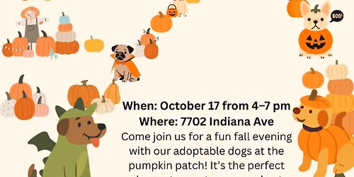 Pupkin Patch