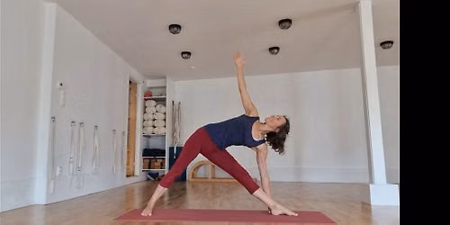 Iyengar YOGA Sommerkurs i Skien