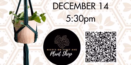 Macrame Twist Plant Hanger Workshop