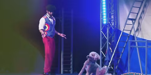 Puppy Pals Live - Goldsboro