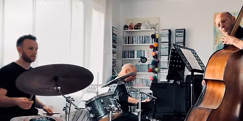 STEFAN ORINS NEW TRIO