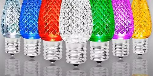 Christmas Light Training