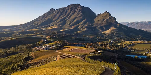 5 Course South African Wine Tasting Dinner