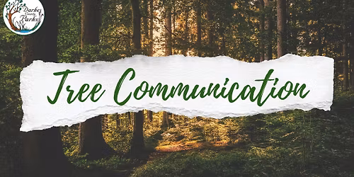 Tree Communication-Deep Roots, Long Memory, and Shared Wisdom