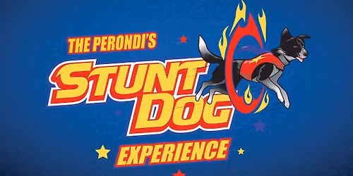 Perondi's Stunt Dog Experience